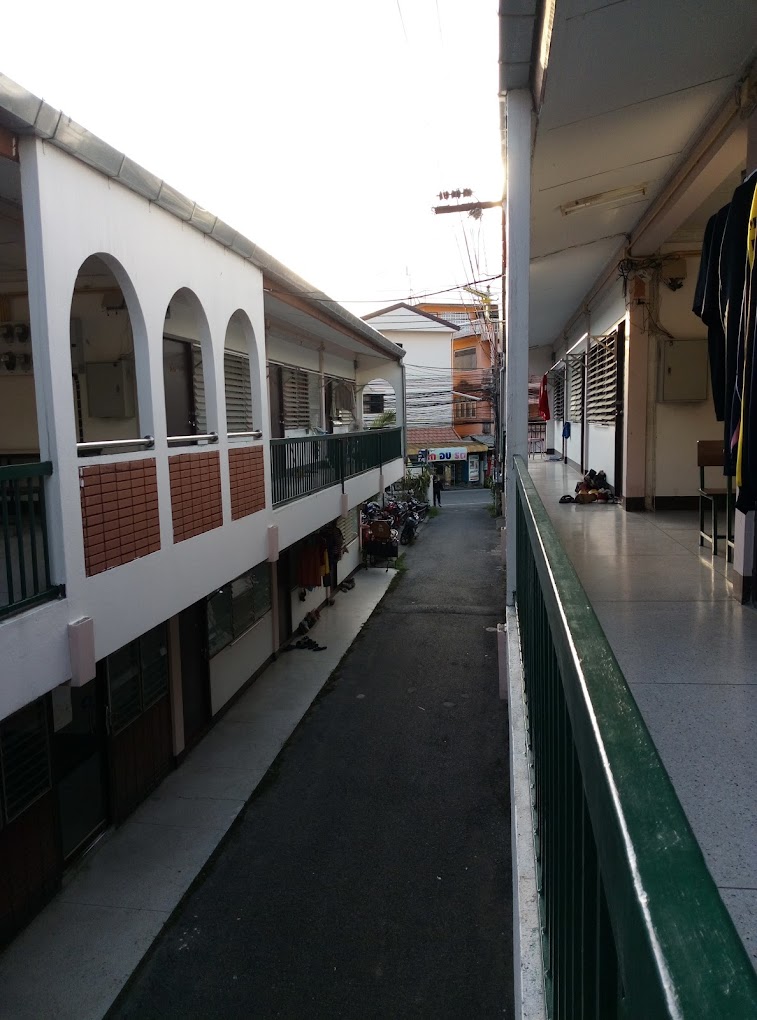สันติภาพ2